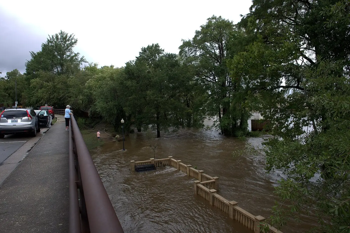 Brown floodwater filling the Cape Fear River up to the trees beside a road bridge, with parked cars on the left