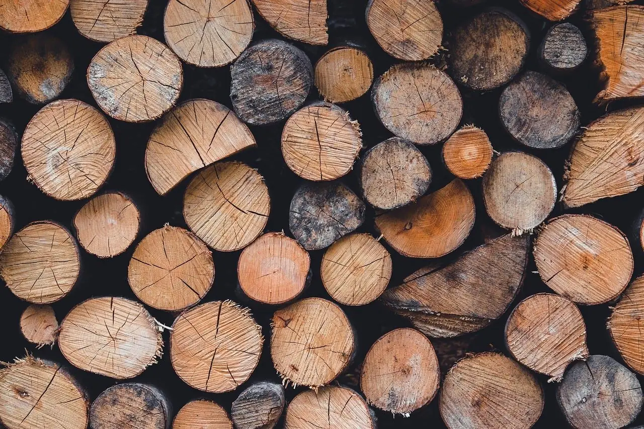 Wall of stacked cut log ends in many sizes