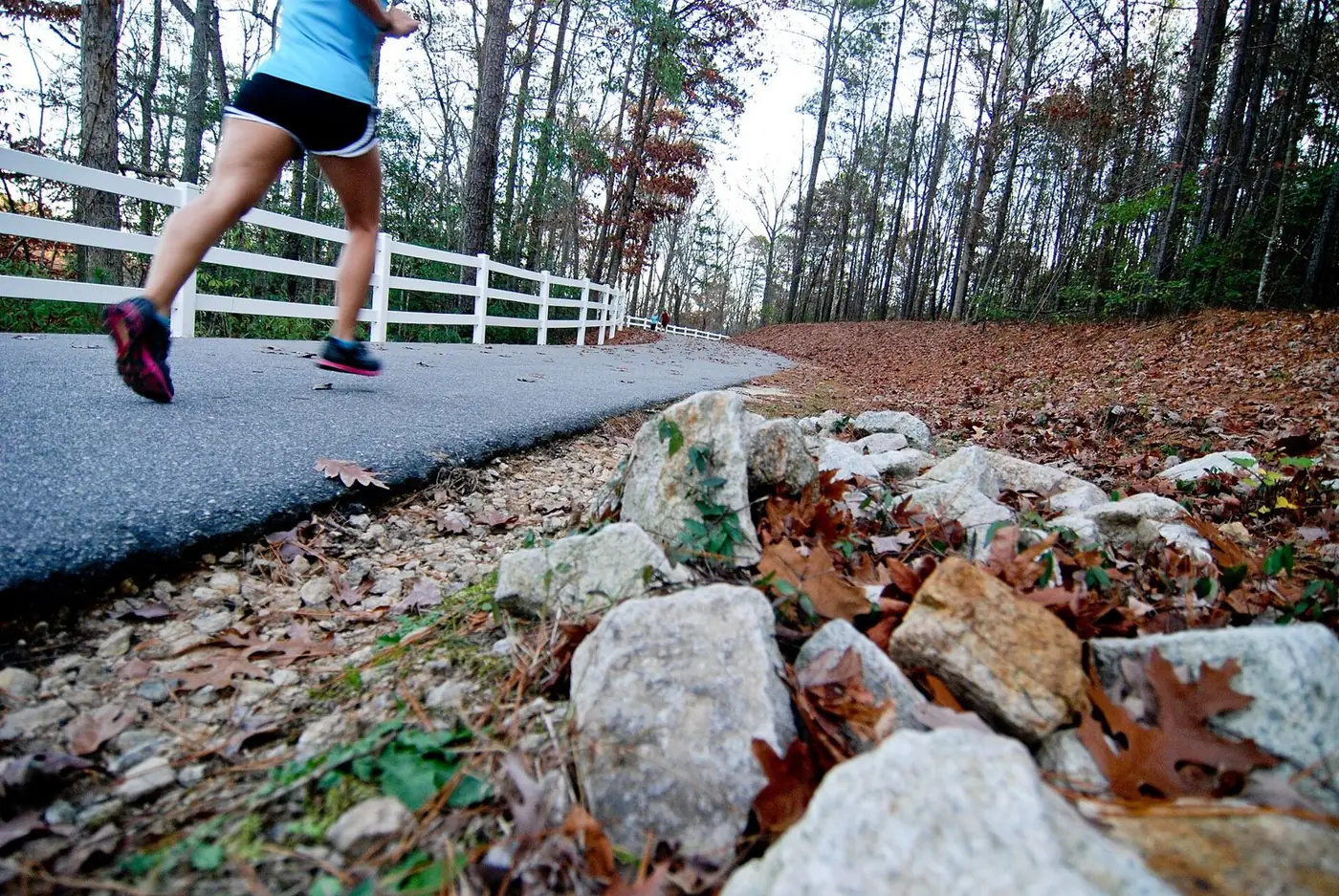 Paved Cape Fear River Trail curving past a white fence through bare winter woods, a runner ahead